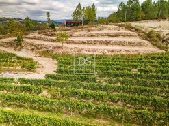 Quinta T2 - Constance, Marco de Canaveses, Porto - Miniatura: 37/41