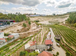 Quinta T2 - Constance, Marco de Canaveses, Porto - Miniatura: 41/41