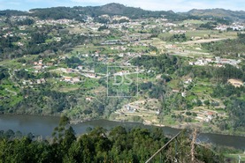 Quinta T3 - Espadanedo, Cinfes, Viseu - Miniatura: 7/21