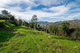 Quinta T3 - Espadanedo, Cinfes, Viseu - Miniatura: 17/21