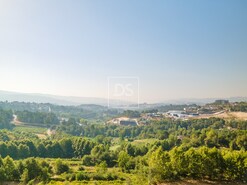 Ruina T0 - Constance, Marco de Canaveses, Porto - Miniatura: 5/11