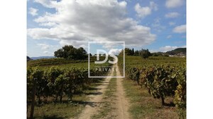 Quinta T0 - Cumieira, Santa Marta de Penagui�o, Vila Real - Miniatura: 8/16