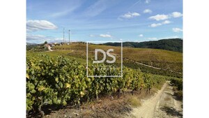 Quinta T0 - Cumieira, Santa Marta de Penagui�o, Vila Real - Miniatura: 10/16