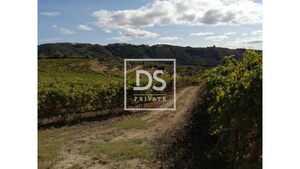 Quinta T0 - Cumieira, Santa Marta de Penagui�o, Vila Real - Miniatura: 12/16