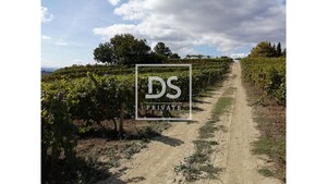 Quinta T0 - Cumieira, Santa Marta de Penagui�o, Vila Real - Miniatura: 13/16