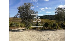 Quinta T0 - Cumieira, Santa Marta de Penagui�o, Vila Real - Miniatura: 15/16