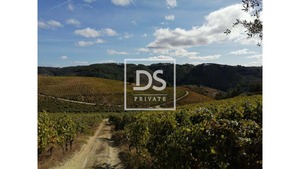 Quinta T0 - Cumieira, Santa Marta de Penagui�o, Vila Real - Miniatura: 16/16