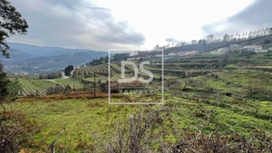 Terreno Rstico T0 - Ancede, Baio, Porto - Miniatura: 1/8