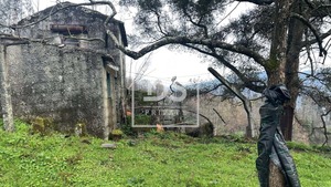 Terreno Rstico T0 - Ancede, Baio, Porto - Miniatura: 2/8