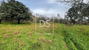 Terreno Rstico T0 - Ancede, Baio, Porto - Miniatura: 4/8