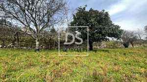 Terreno Rstico T0 - Ancede, Baio, Porto - Miniatura: 5/8