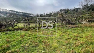 Terreno Rstico T0 - Ancede, Baio, Porto - Miniatura: 6/8