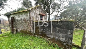 Terreno Rstico T0 - Ancede, Baio, Porto - Miniatura: 8/8