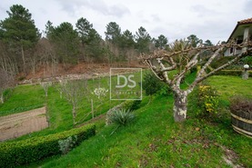 Moradia T3 - Campelo, Baio, Porto - Miniatura: 50/65