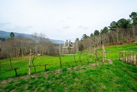 Moradia T3 - Campelo, Baio, Porto - Miniatura: 53/65