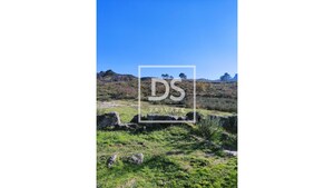 Ruina T0 - Soalhes, Marco de Canaveses, Porto - Miniatura: 6/6