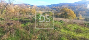 Quinta T0 - Anreade, Resende, Viseu - Miniatura: 5/18