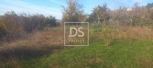 Quinta T0 - Anreade, Resende, Viseu - Miniatura: 8/18