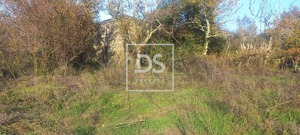 Quinta T0 - Anreade, Resende, Viseu - Miniatura: 9/18