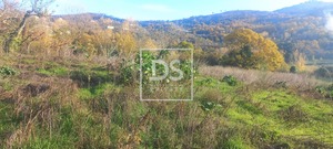 Quinta T0 - Anreade, Resende, Viseu - Miniatura: 11/18