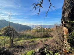 Quinta T0 - Anreade, Resende, Viseu - Miniatura: 13/18