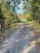 Quinta T0 - Anreade, Resende, Viseu - Miniatura: 18/18