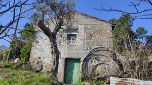 Ruina T0 - Santa Cruz do Douro, Bai�o, Porto - Miniatura: 1/20