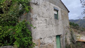 Ruina T0 - Santa Cruz do Douro, Bai�o, Porto - Miniatura: 2/20