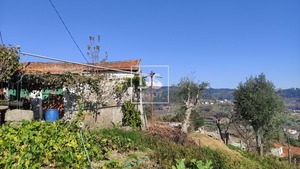 Ruina T0 - Santa Cruz do Douro, Bai�o, Porto - Miniatura: 3/20