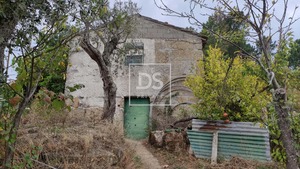 Ruina T0 - Santa Cruz do Douro, Bai�o, Porto - Miniatura: 4/20