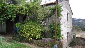 Ruina T0 - Santa Cruz do Douro, Bai�o, Porto - Miniatura: 5/20