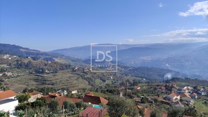 Ruina T0 - Santa Cruz do Douro, Bai�o, Porto - Miniatura: 11/20