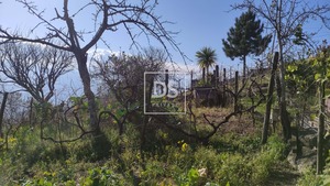 Ruina T0 - Santa Cruz do Douro, Bai�o, Porto - Miniatura: 13/20