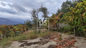 Ruina T0 - Santa Cruz do Douro, Bai�o, Porto - Miniatura: 14/20