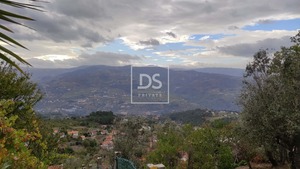 Ruina T0 - Santa Cruz do Douro, Bai�o, Porto - Miniatura: 15/20