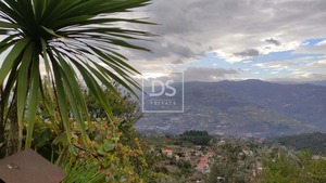 Ruina T0 - Santa Cruz do Douro, Bai�o, Porto - Miniatura: 16/20