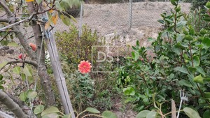 Ruina T0 - Santa Cruz do Douro, Bai�o, Porto - Miniatura: 17/20