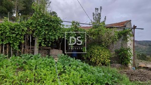 Ruina T0 - Santa Cruz do Douro, Bai�o, Porto - Miniatura: 18/20