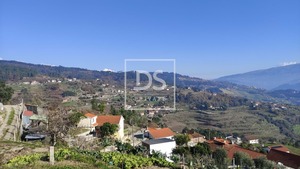 Ruina T0 - Santa Cruz do Douro, Bai�o, Porto - Miniatura: 20/20