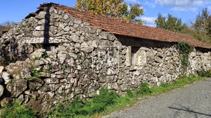 Terreno R�stico T0 - Campelo, Bai�o, Porto - Miniatura: 11/20