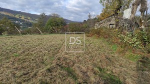 Terreno R�stico T0 - Campelo, Bai�o, Porto - Miniatura: 12/20