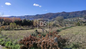 Terreno R�stico T0 - Campelo, Bai�o, Porto - Miniatura: 16/20