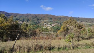 Terreno R�stico T0 - Campelo, Bai�o, Porto - Miniatura: 20/20