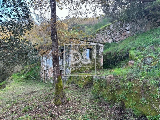 Ruina T0 - Tarouquela, Cinfães, Viseu - Imagem grande