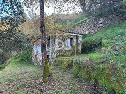 Ruina T0 - Tarouquela, Cinfes, Viseu