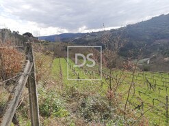Terreno Rstico T0 - Souselo, Cinfes, Viseu
