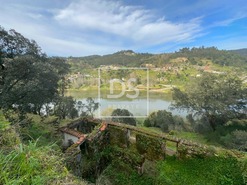 Ruina T0 - Tarouquela, Cinfes, Viseu - Miniatura: 3/12