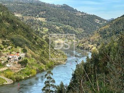 Ruina T0 - Tarouquela, Cinfes, Viseu - Miniatura: 4/12