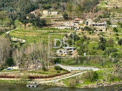 Ruina T0 - Tarouquela, Cinfes, Viseu - Miniatura: 6/12