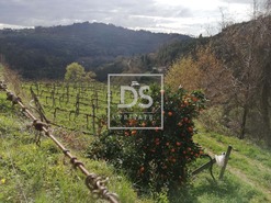 Terreno Rstico T0 - Souselo, Cinfes, Viseu - Miniatura: 1/13